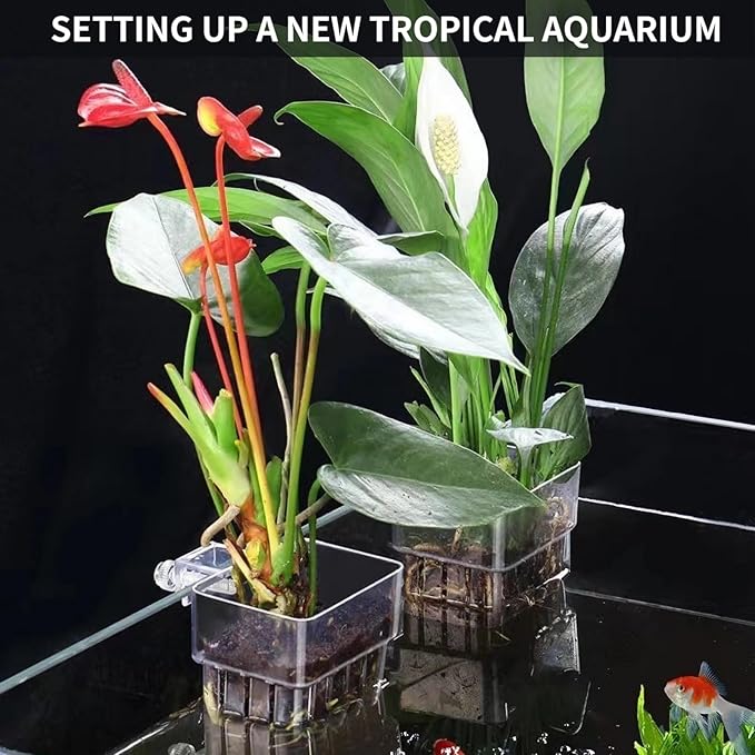 Aquatic & Aquarium