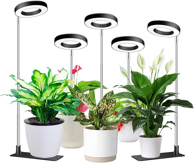 Grow Light