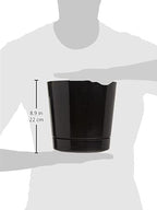 Root & Vessel Majestic Full Depth Round Cylinder Pot, Glossy Black, 8-Inch (10088)