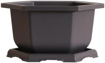 CZ Grain Large Hexagonal Bonsai Pot and Drip Tray - 11 inch Container with Tray (1 Pot)