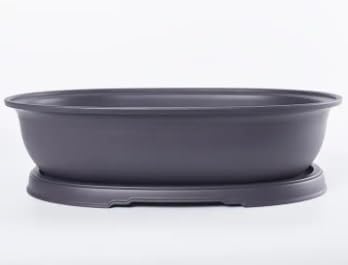 CZ Grain Giant 18 Inch Oval Bonsai Pot and Drip Tray - Biggest Bonsai Display Pot on The Internet (1 Pot)