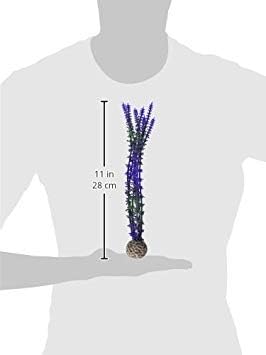 biOrb Blue/Purple Plant Pack Medium