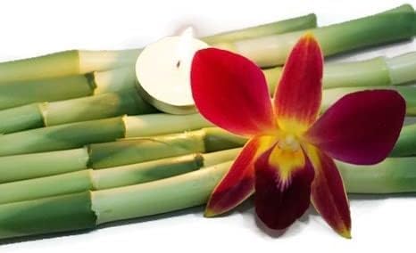 Miami Fresh Orchid Flower OrchidClub USA Sunne Tropical Loose Bloom DIY Lei Food Drink Decoration (50 YELLOW 50 PURPLE)