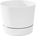 Root & Vessel Majestic Mid-Century Modern Low Profile Cylinder Pot, Matte White, 10.5"