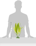 Marina Aquascaper Fish Tank Decorations, Amazon Sword Plant, 15-Inch