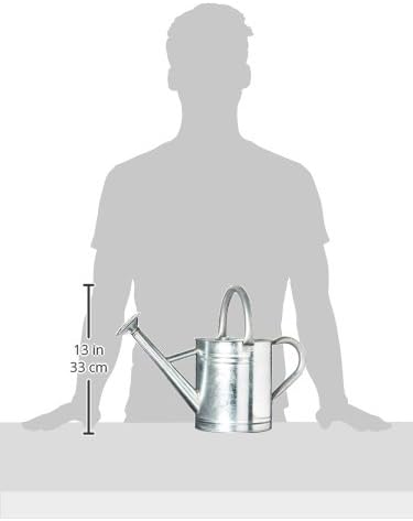 Gardener's Select AW3003P6G Watering Can, Galvanized, 3.5 L