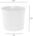 Root & Vessel Majestic Mid-Century Modern Low Profile Cylinder Pot, Matte White, 8.5"