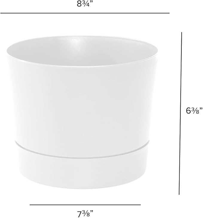 Root & Vessel Majestic Mid-Century Modern Low Profile Cylinder Pot, Matte White, 8.5"