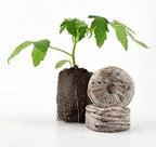MAUI MIKE'S - Indoor Cherry Tomato Seed Grow Kit- Jiffy 7's Starter Soil Wafers - 5 Gallon Soft Pot Grow Bag- Step by Step Instructions - Grows Indoors or Outdoors - Non GMO Seeds- Makes a Great Gift.