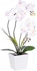 HOMESEASONS Orchid Lamp-LED Lighted Orchid Arrangements,Pre Lit Artificial Orchid,Light Up Flower Lights, Faux Orchid Phalaenopsis Arrangement (White)