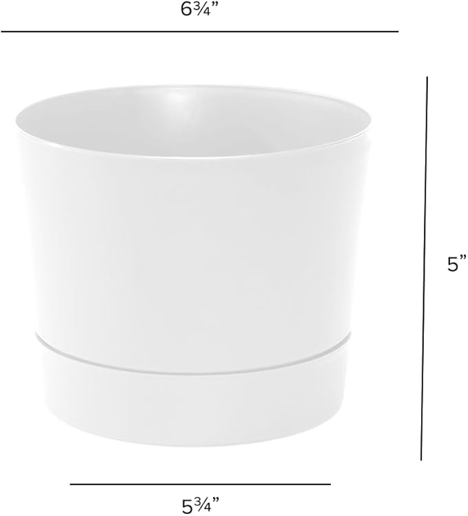 Root & Vessel Majestic Mid-Century Modern Low Profile Cylinder Pot, Matte White, 6.5"
