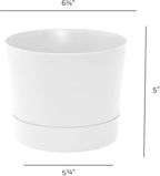 Root & Vessel Majestic Mid-Century Modern Low Profile Cylinder Pot, Matte White, 6.5"