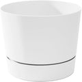 Root & Vessel Majestic Mid-Century Modern Low Profile Cylinder Pot, Matte White, 12.5"