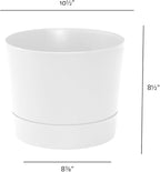 Root & Vessel Majestic Mid-Century Modern Low Profile Cylinder Pot, Matte White, 10.5"