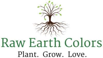 Vegetable Seeds for Planting Vegetables - Variety Salad Pack - Romaine Lettuce - Cherry Tomato - Cucumber - Bell Pepper!