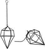 Iron Air Plant Holder, 6PCS Geometric Tillandsia Stand - Wall Mounted Hanging Planter for Home Office Decor, Black Metal Himmeli Craft for Air Ferns, Small Airplants Display