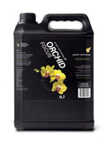 Growth Technology GT Orchid Focus – Liquid Plant Nutrient for Phalaenopsis, Vanda, Cymbidium, Dendrobium, Bromeliads & Indoor Plants – Nitrate-Based for Healthy Growth & Foliage – 5 Liters