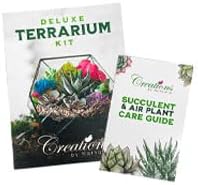 Creations by Nathalie DIY Terrarium Starter Kit - Small Terrarium Kit with Moss, Soil, Pebbles, Tools, Crystals & Figurines - Fun Gardening Craft Supplies for Adults & Teens - Handcrafted in USA