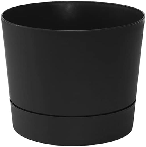 Root & Vessel Majestic Mid-Century Modern Low Profile Cylinder Pot, Matte Black, 6.5"