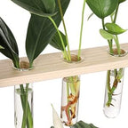 YIBOT Glass Plant Propagation Tubes Accessories Glass Test Tubes Tiered Planters Wall Terrarium for Home Office Plant Hanger Flower Vases Wall Decor Hydroponic Cuttings (5 Tube Vases) Clear