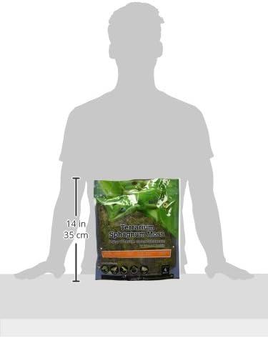 Galápagos (05213) Terrarium Green Sphagnum Moss, Natural, 4 Quart (Pack of 6)