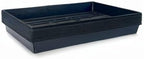 10 Plant Growing Trays (No Drain Holes) - 20" x 10" - Perfect Garden Seed Starter Grow Trays: for Seedlings, Indoor Gardening, Growing Microgreens, Wheatgrass & More - Soil or Hydroponic