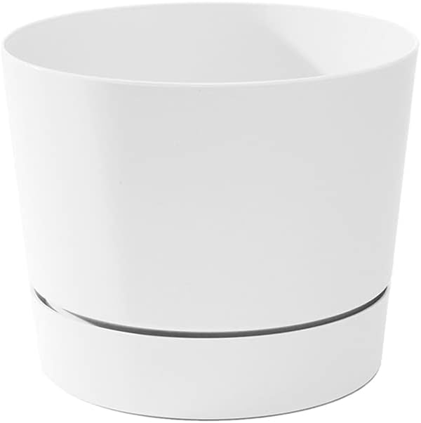 Root & Vessel Majestic Mid-Century Modern Low Profile Cylinder Pot, Matte White, 8.5"