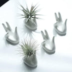 Dahey Air Plant Holder Cute Ceramic Mini Hand Shape Stand Airplants Tillandsia Small Container Pot Plant Decorative Home Decor for Desk Table Shelf,White,3 Packs