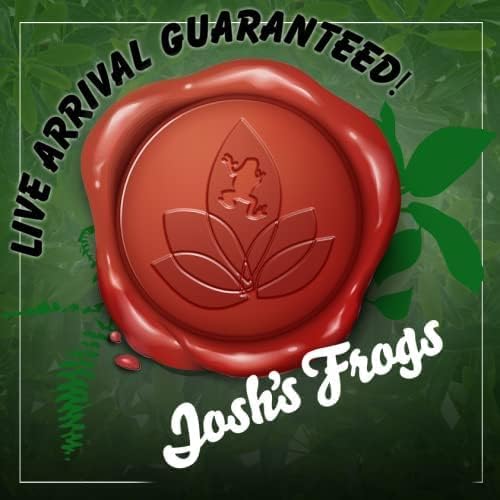 Josh's Frogs Reed Frog 12x12x15 (10 Gallon) Vivarium Bioactive Plant Kit (4 Plants)