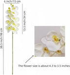 2 Pcs Orchid Stems 38" Artificial Flowers Real Touch Latex Faux Phalaenopsis Branches White Artificial Flowers for Wedding Party Home Garden Decor (White)