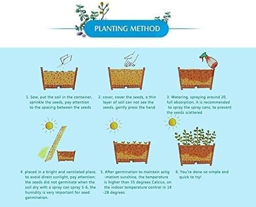 Bonsai Lotus Seeds for Planting | 10 Seeds | Beautiful Flowering Aquatic Bonsai Plant Seeds | Aquatic Water Lotus for Planting | Grow in Koi Pond, Bowl, or Container | Easy Bonsai Style