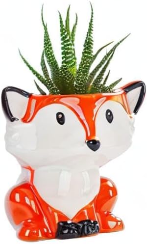 DIYOMR Cute Animal Ceramics Planter Small Succulent Pot Cartoon Shaped Plant Pot for Mini Plants Flower Cactus, Smooth Shiny Ceramic - Plants Not Included (Fox)