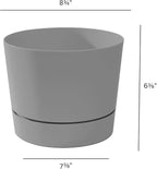 Root & Vessel Majestic Mid-Century Modern Low Profile Cylinder Pot, Matte Gray, 8.5"