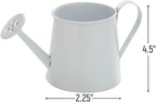 Fun Express Mini Watering Can Tabletop Decorations - 12 Pieces - Great for Spring and Garden Home Decor, Weddings and Other Table Centerpieces