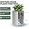 8 Inch Smart Self Watering Planter with WiFi Bridge & App Control – AI Plant Care System with Sensors, Automatic Watering, Alerts – Modern Indoor Planter for Houseplants | Cordless