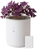 8 Inch Smart Self Watering Planter with WiFi Bridge & App Control – AI Plant Care System with Sensors, Automatic Watering, Alerts – Modern Indoor Planter for Houseplants | Cordless