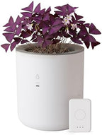 8 Inch Smart Self Watering Planter with WiFi Bridge & App Control – AI Plant Care System with Sensors, Automatic Watering, Alerts – Modern Indoor Planter for Houseplants | Cordless