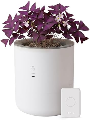 8 Inch Smart Self Watering Planter with WiFi Bridge & App Control – AI Plant Care System with Sensors, Automatic Watering, Alerts – Modern Indoor Planter for Houseplants | Cordless