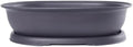 CZ Grain 14 Inch Oval Bonsai Pots and Drip Tray - Heavy Duty Display Pots (1 Pot) - Ideal for Indoor or Outdoor Bonsai - Large Display Planters - Plants, Bonsai, Herbs