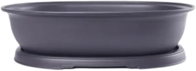 CZ Grain 14 Inch Oval Bonsai Pots and Drip Tray - Heavy Duty Display Pots (1 Pot) - Ideal for Indoor or Outdoor Bonsai - Large Display Planters - Plants, Bonsai, Herbs