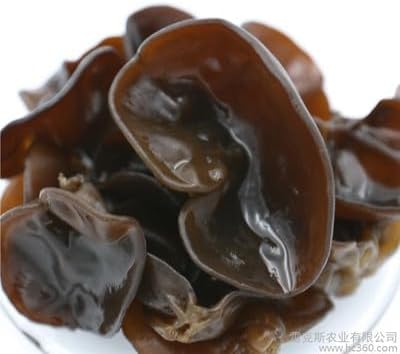 Root Mushroom Farm- Mushroom Liquid Cultures/Wood Ear(Auricularia Auricula-judae)