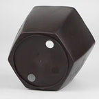 CZ Grain 4.5 Inch Bonsai Pots with Raised Tray - Great for Training New Bonsai Trees (1 Pot)