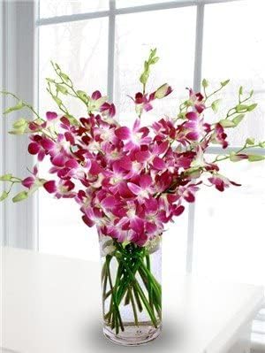 eflowerwholesale - Mother's Day Cut Purple Orchids (30 stems with Vase) (Support Small Business)