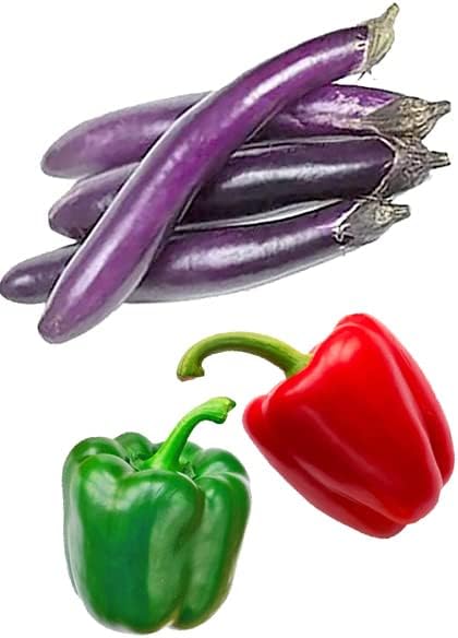 Bundle: Sweet Pepper Seeds California Wonder + Asian Long Eggplant Seeds Ping Tung