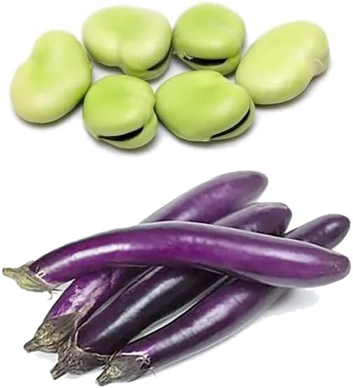 Bundle: Fava Bean Seeds + Ping Tung Long Eggplant Seeds