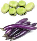Bundle: Fava Bean Seeds + Ping Tung Long Eggplant Seeds
