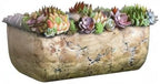 Classic Home and Garden Dakota Rectangular Planter Box w/Drain Plug - Small Succulent Pots for Window Sills & More - Shallow Trough Planter for Indoor Outdoor Use (8” Earth Moss Gray)