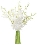 KaBloom - 20 White Orchid without vase - Fresh Flowers for Birthday, Valentine's & Mother's Day