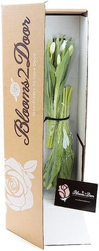 KaBloom - PREMIUM 20 White Tulips - Farm Direct Wholesale Fresh Flowers - Fresh Flowers for Birthday, Valentine's & Mother's Day