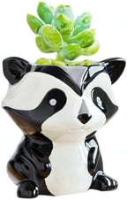 DIYOMR Cute Animal Ceramics Planter Small Succulent Pot Cartoon Shaped Plant Pot for Mini Plants Flower Cactus, Smooth Shiny Ceramic - Plants Not Included (Panda)